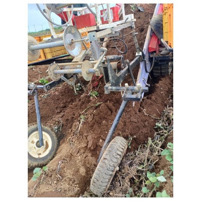 さつまいも(シルクスイート5kg)【1597491】