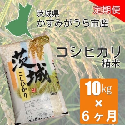 【毎月定期便】茨城県かすみがうら産 コシヒカリ 精米 10kg全6回【4075581】