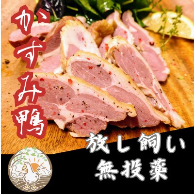 かすみ鴨　モモ肉スモークセット　計約500g(3〜4パック)【配送不可地域：離島】【1563882】