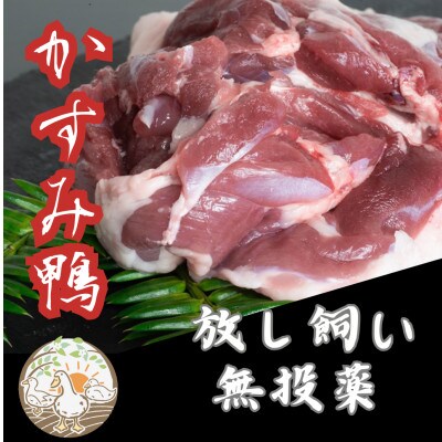 かすみ鴨モモ肉　1羽分×2パック(計2羽分)【配送不可地域：離島】【1563884】