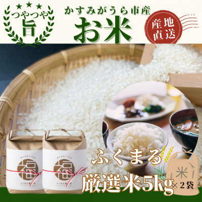 「ふくまる厳選米」精米 5kg×2袋【1573829】