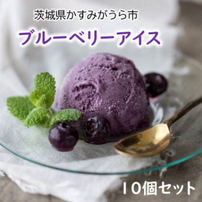 『ブルーベリーやすだ』の濃厚ブルーベリーアイス　10個セット【配送不可地域：離島】【1452596】