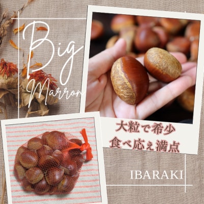 2026年産!大粒生栗 先行予約受付中 かすみがうら市産　生栗　3Lサイズ 2kg【配送不可地域：離島】【1437715】