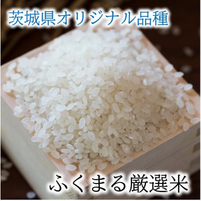 茨城県産『常陸乃梅』　大粒Aランク梅干し　無添加　1Kg　＆　ふくまる厳選米　2Kg【1475658】