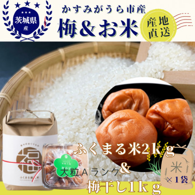 茨城県産『常陸乃梅』　大粒Aランク梅干し　無添加　1Kg　＆　ふくまる厳選米　2Kg【1475658】