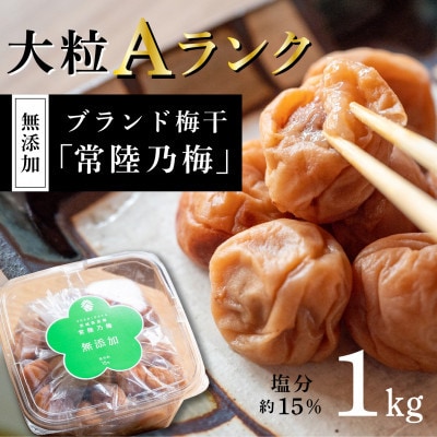 茨城県産『常陸乃梅』　大粒Aランク梅干し　無添加　1Kg　＆　ふくまる厳選米　2Kg【1475658】