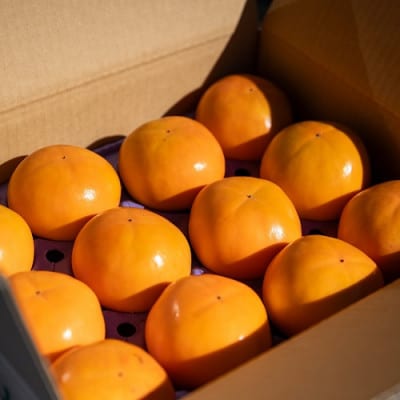 æ¿ æ©ç(ãã) 3çš®ã»ãã 9ã12å(çŽ3.5kg)ã1698830ã