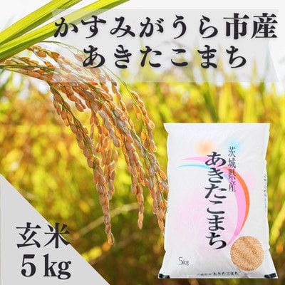 令和7年産かすみがうら市産あきたこまち  玄米  5kg【1666721】