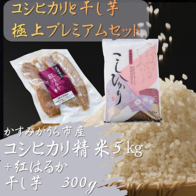 コシヒカリと干し芋の極上プレミアムセット(精米5kg×干し芋300g)【1694101】
