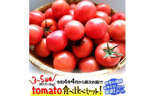 tomato食べ比べセット3～5種類・約1.52kg【令和4年4月から順次お届け】田舎の頑固おやじが厳選！ [BI181-NT]