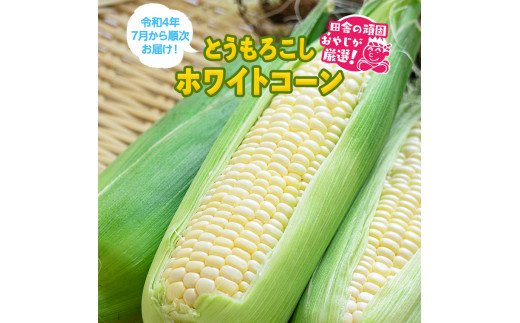 もろこしはこれだっぺセット！とうもろこし（ホワイトコーン）【令和4年7月下旬から順次お届け】田舎の頑固おやじが厳選！ [BI171-NT]