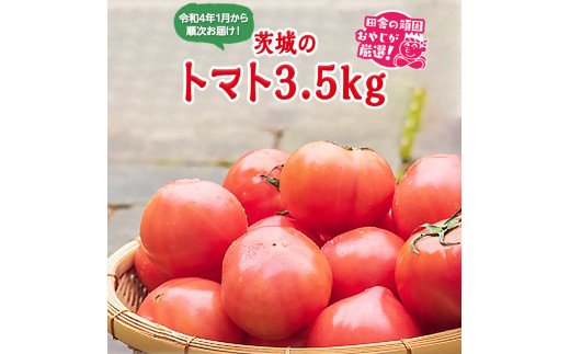 茨城のトマト3.5kgセット【令和4年1月から順次発送】田舎の頑固おやじが厳選！ [BI169-NT]