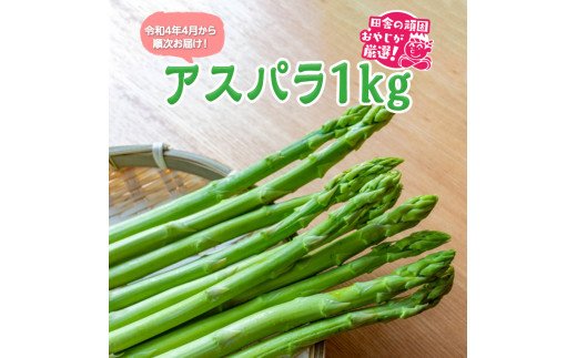 アスパラ1kg【令和4年4月から順次お届け】田舎の頑固おやじが厳選！ [BI167-NT]