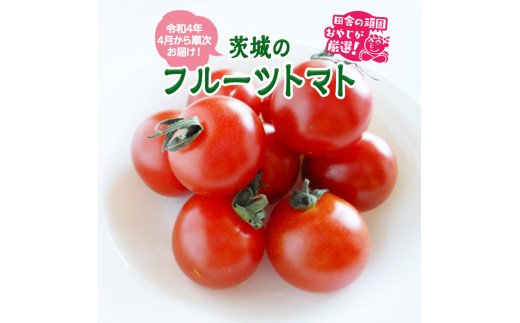 トマト好きにはこれだっぺ！この時期にしかない茨城のフルーツトマト！【令和4年4月から順次お届け】田舎の頑固おやじが厳選！ [BI165-NT]