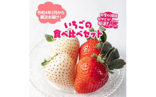 イチゴの食べ比べセット【令和4年2月から順次お届け】田舎の頑固おやじが厳選！ [BI157-NT]