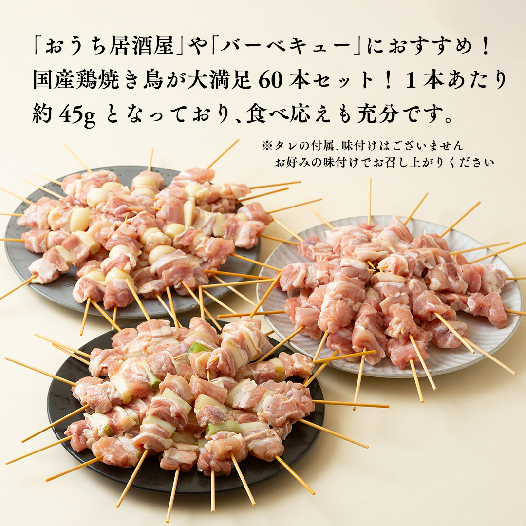 1本45g！合計約2700g！大満足の 国産鶏 焼き鳥 モモ 3種60本 セット （各20本入り）  焼鳥 鶏肉 おかず おつまみ [AI10-NT]