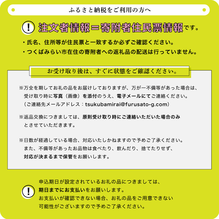 （10000円分）Flyhill つくばみらいジャンプスキー場 利用券引換券  [CO01-NT]