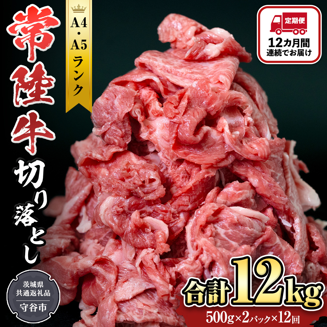 【定期便】 全12回 【 常陸牛 】 切り落とし 1kg （茨城県共通返礼品 製造地：守谷市） 国産 切落し 焼肉 焼き肉 お肉 A4ランク A5ランク ブランド牛 [BX89-NT]