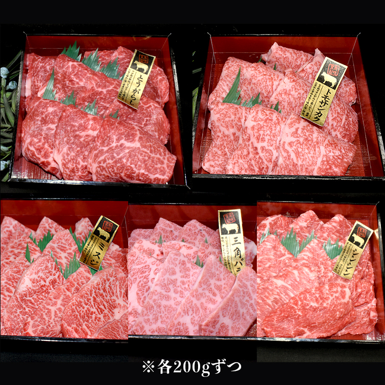 【 常陸牛 希少部位 】 焼肉 食べ比べ8種セット（茨城県 共通返礼品 製造地：守谷市）箱入り 国産 焼き肉 牛肉 やきにく ブランド牛 肉 サーロイン [BX92-NT]