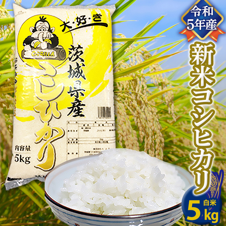 【令和5年産】 コシヒカリ 白米 5kg 米 お米 コメ おいしい 茨城県産 精米 国産 ブレンド 白米 こしひかり [AO21-NT]