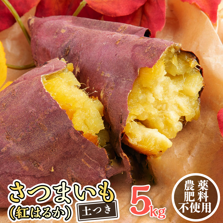 さつまいも ( 紅はるか ） 5kg 【 農薬・肥料不使用 】 土つき  オーガニック 無農薬 高糖度 肥料不使用 自然栽培 スイーツ 焼き芋 天ぷら スイートポテト 秋 べにはるか 食物繊維 [CW03-NT]