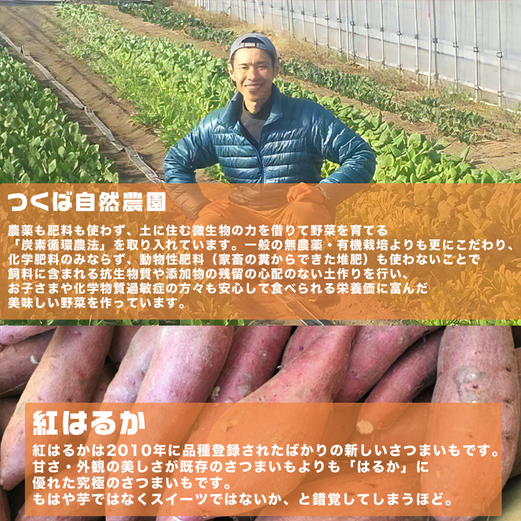 さつまいも ( 紅はるか ） 5kg 【 農薬・肥料不使用 】 土つき