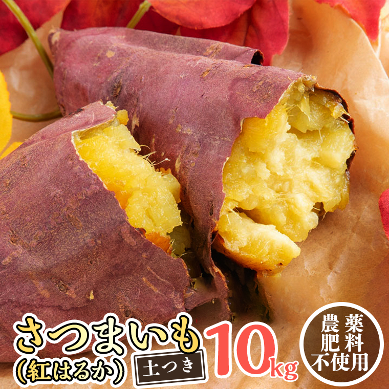 さつまいも ( 紅はるか ） 10kg 【 農薬・肥料不使用 】 土つき オーガニック 無農薬 高糖度 肥料不使用 自然栽培 スイーツ 焼き芋 天ぷら スイートポテト 秋 べにはるか 食物繊維 [CW04-NT]