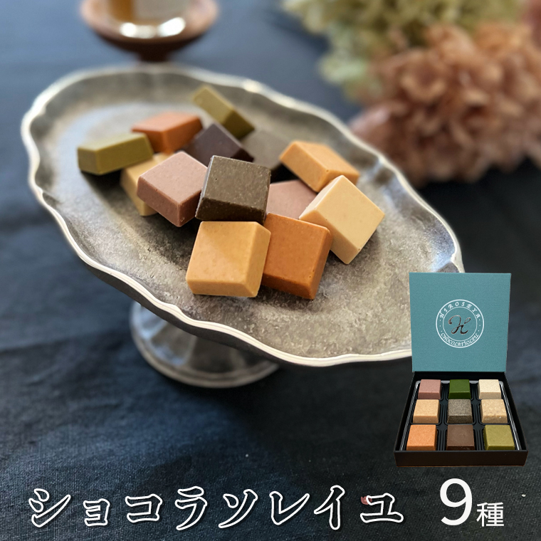 【令和5年1月から発送開始】 ショコラソレイユ 9種 チョコレート チョコ スイーツ デザート 高級 ギフト 贈り物 お礼 プレゼント 手土産 お菓子 [DJ07-NT]