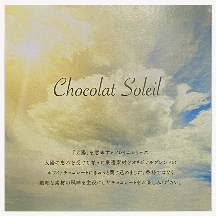 【令和5年1月から発送開始】 ショコラソレイユ 9種 チョコレート チョコ スイーツ デザート 高級 ギフト 贈り物 お礼 プレゼント 手土産 お菓子 [DJ07-NT]