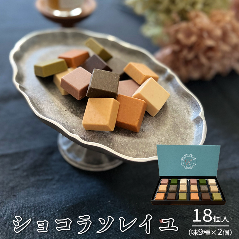 【令和5年1月から発送開始】 ショコラソレイユ 18個入 （味9種×2個） チョコレート チョコ スイーツ デザート 高級 ギフト 贈り物 お礼 プレゼント 手土産 お菓子 [DJ04-NT]