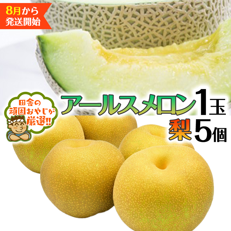 アールスメロン 1個 梨5個 【8月発送開始】田舎の頑固おやじが厳選！ メロン 高糖度 美味しい 甘い フルーツ [BI318-NT]