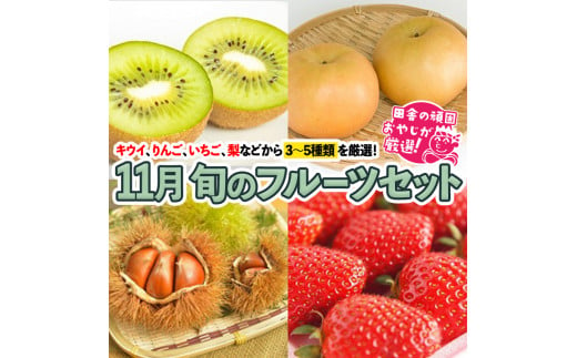 旬のフルーツセット 11月号【令和6年11月より発送開始】 田舎の頑固おやじが厳選！ [BI77-NT]