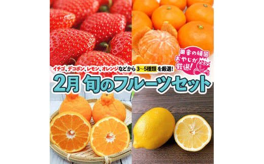 旬のフルーツセット 2月号【令和7年2月より発送開始】 田舎の頑固おやじが厳選！ [BI79-NT]