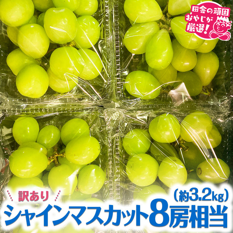 【訳あり】シャインマスカット8房相当（約3.2kg） 【令和6年9月より発送開始】 田舎の頑固おやじが厳選！ [BI209-NT]