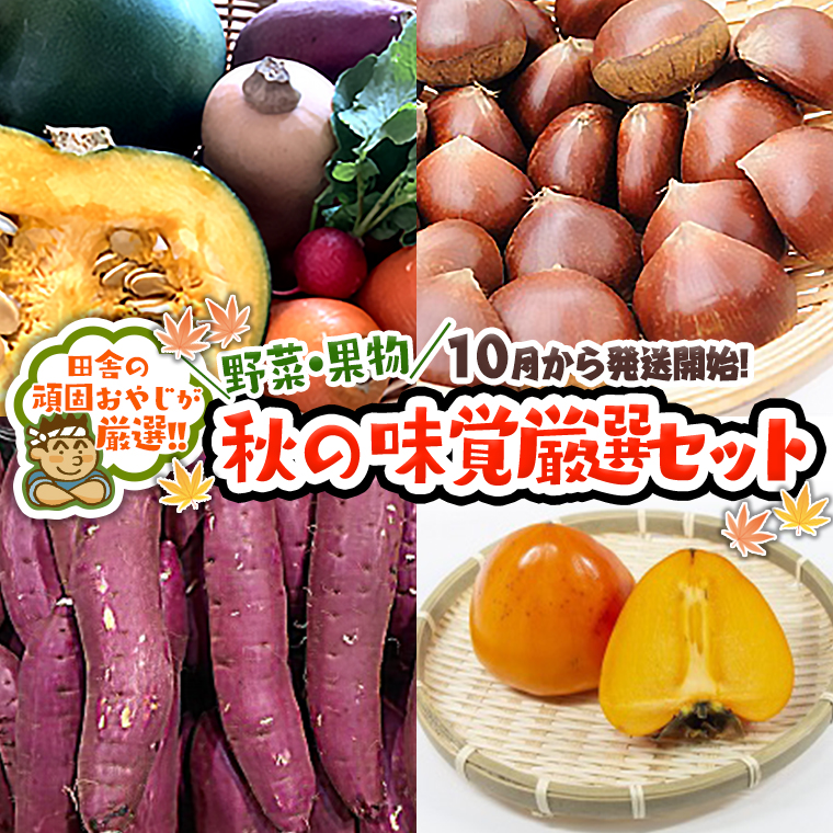 秋の味覚（野菜・果物）厳選セット【令和6年10月より発送開始】田舎の頑固おやじが厳選！ [BI199-NT]