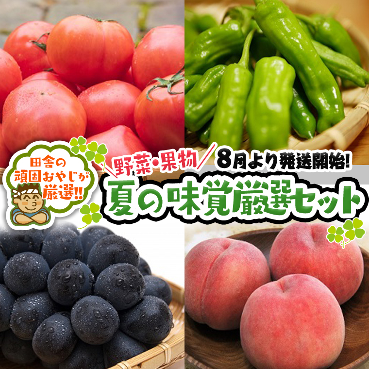 夏の味覚（野菜・果物）厳選セット【8月より発送開始】田舎の頑固おやじが厳選！ [BI183-NT]