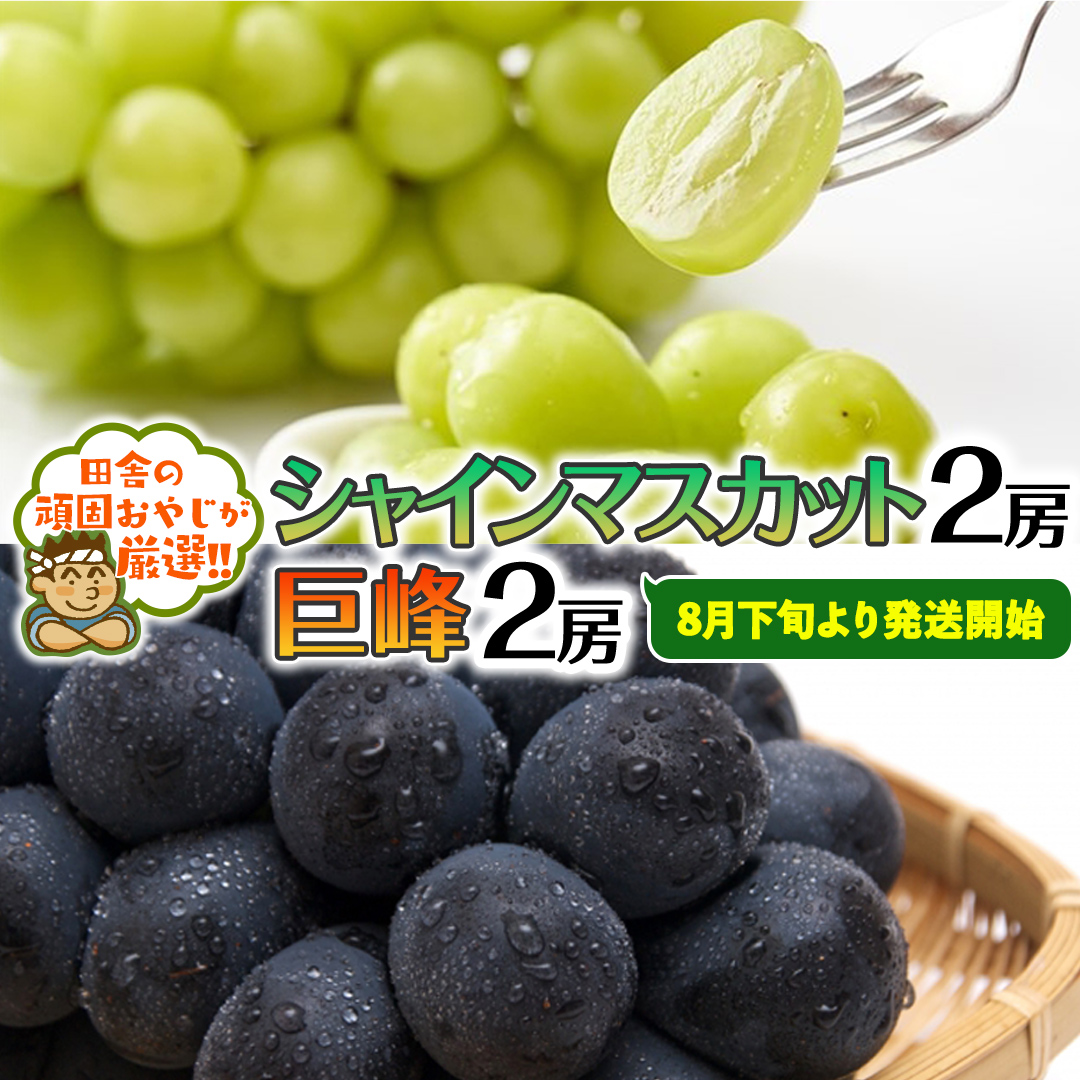 シャインマスカット2房・巨峰2房セット【令和6年8月下旬より発送開始】田舎の頑固おやじが厳選！ [BI114-NT]