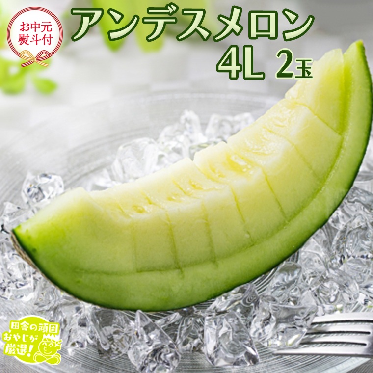 【お中元 熨斗付】 アンデスメロン 4L×2個 【2026年7月より発送開始】 田舎の頑固おやじが厳選！ メロン お中元 ギフト 高糖度 大玉 甘い 美味しい フルーツ [BI254-NT]