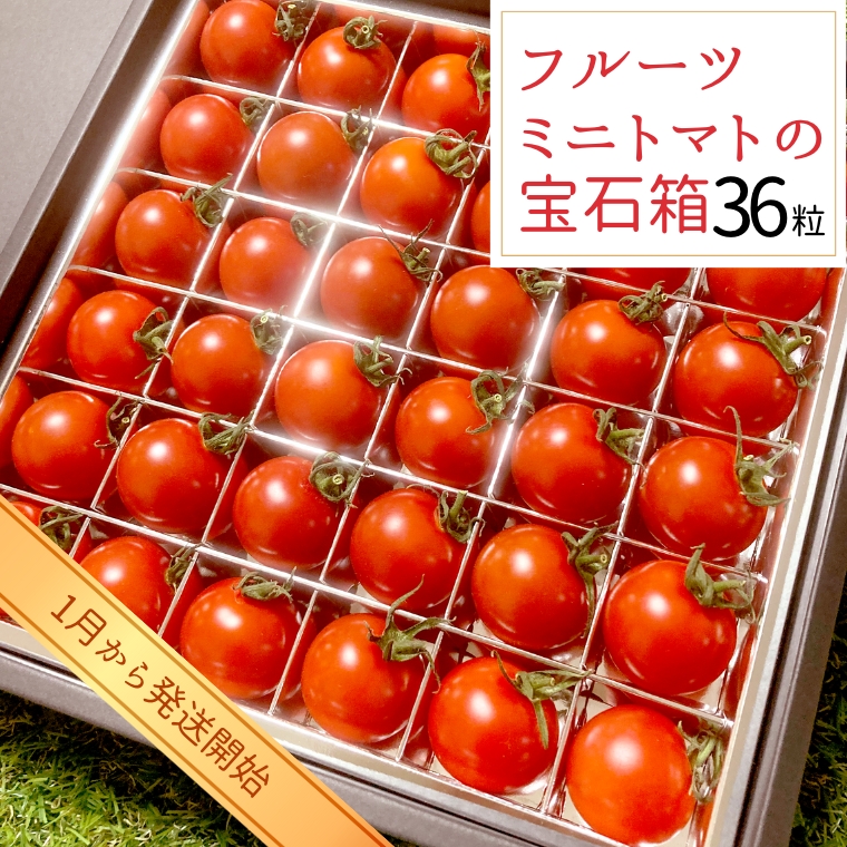 フルーツミニトマト の 宝石箱 36粒 【令和6年1月から発送開始】 野菜 トマト フルーツ ミニトマト フルーツ [BI341-NT]