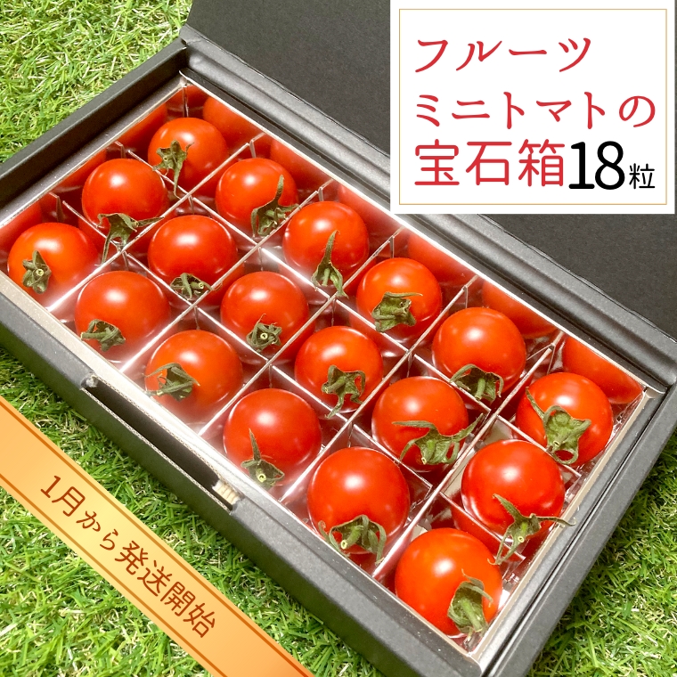 フルーツミニトマト の 宝石箱 18粒 【令和6年1月から発送開始】 野菜 トマト フルーツ ミニトマト フルーツ [BI342-NT]