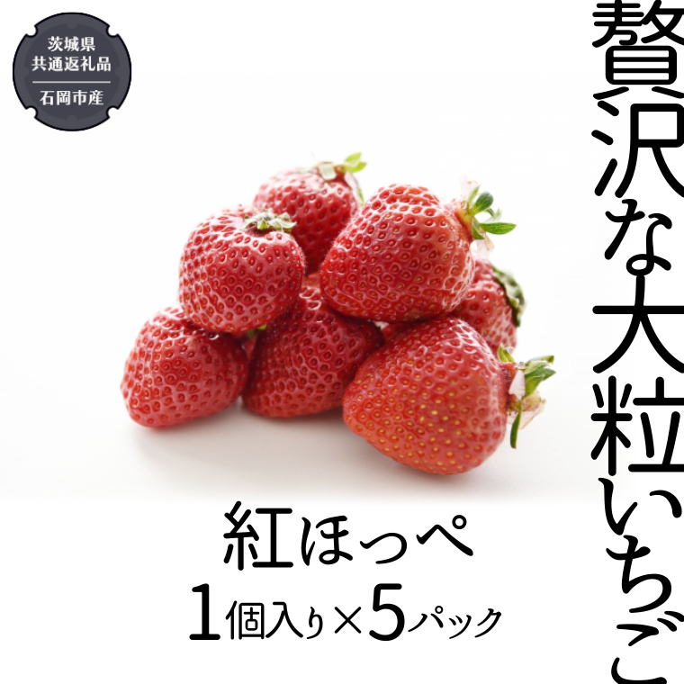 贅沢な大粒いちご （ 紅ほっぺ ） 1個入り× 5パック 【12月から発送開始】 （県内共通返礼品：石岡市産） フルーツ 果物 デザート いちご イチゴ 苺 季節 [BI355-NT]