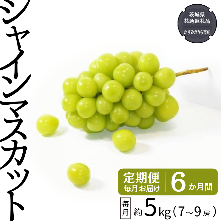 【定期便】 シャインマスカット 7～9房(約5kg) × ６か月連続お届け！ 【2025年8月から発送開始】 （県内共通返礼品：かすみがうら市産） 定期便 毎月 シャインマスカット マスカット ぶどう ブドウ フルーツ 果物