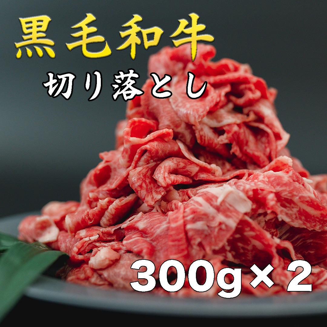 黒毛和牛 切り落とし 600g 肉 精肉 お肉 牛 牛肉 肉じゃが すき焼き 肉豆腐 カルビ 和牛 [DV01-NT]