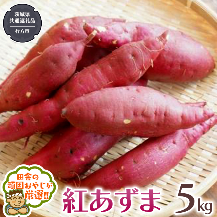 紅あずま 5kg 【2024年10月から発送開始】（県内共通返礼品：行方市産） さつまいも 紅あずま 芋 いも 野菜 [BI412-NT]