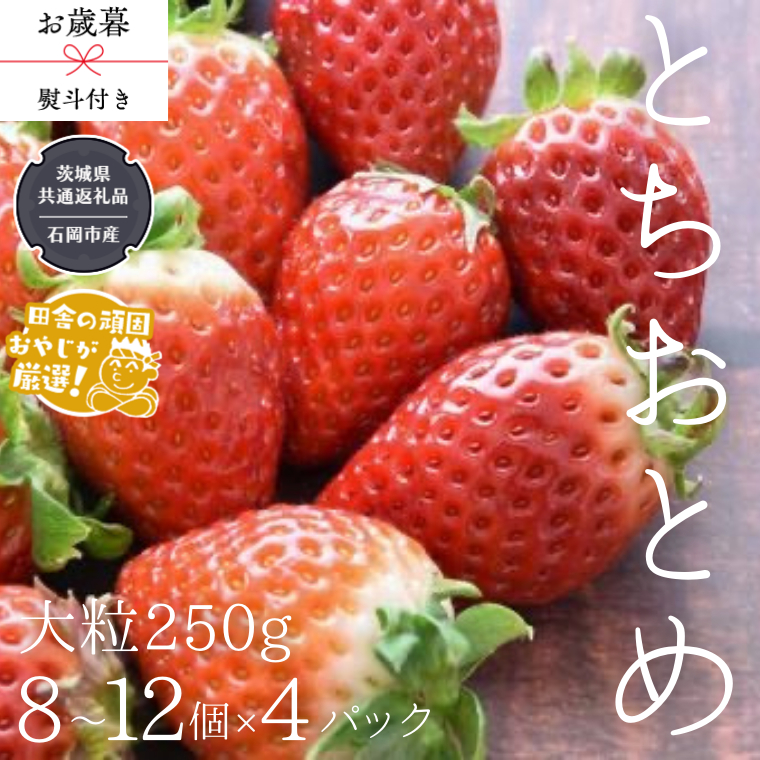 【 お歳暮 熨斗付 】 とちおとめ 〈いちご〉 大粒 250g（8～12粒）×4パック【令和6年12月から発送開始】（県内共通返礼品：石岡市産） いちご 苺 イチゴ とちおとめ [BI371-NT]