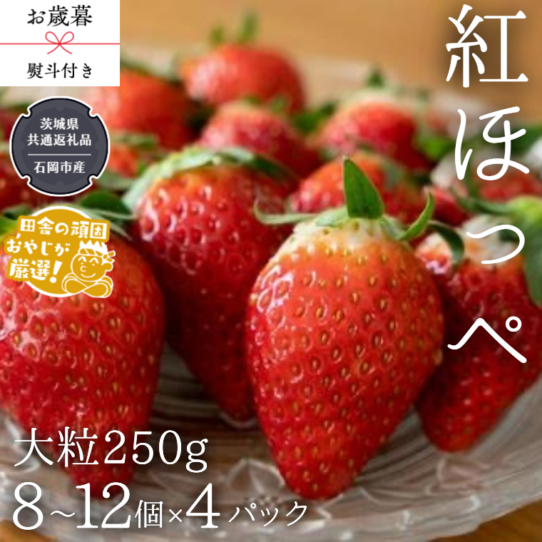 【 お歳暮 熨斗付 】紅ほっぺ〈いちご〉 大粒 250g（8～12粒）×4パック【令和6年12月から発送開始】（県内共通返礼品：石岡市産） いちご 苺 イチゴ 紅ほっぺ [BI372-NT]