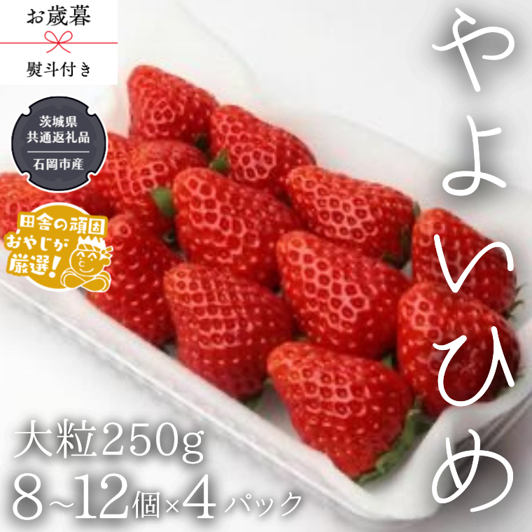 【 お歳暮 熨斗付 】やよいひめ〈いちご〉大粒 250g（8～12粒）×4パック【令和6年12月から発送開始】（県内共通返礼品：石岡市産） いちご 苺 イチゴ やよいひめ [BI373-NT]