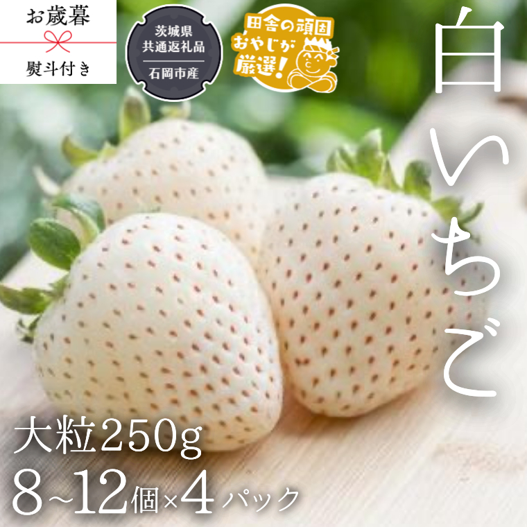 【 お歳暮 熨斗付 】白いちご大粒 250g（8～12粒）×4パック【令和6年12月から発送開始】（県内共通返礼品：石岡市産） いちご 苺 イチゴ 白いちご [BI374-NT]