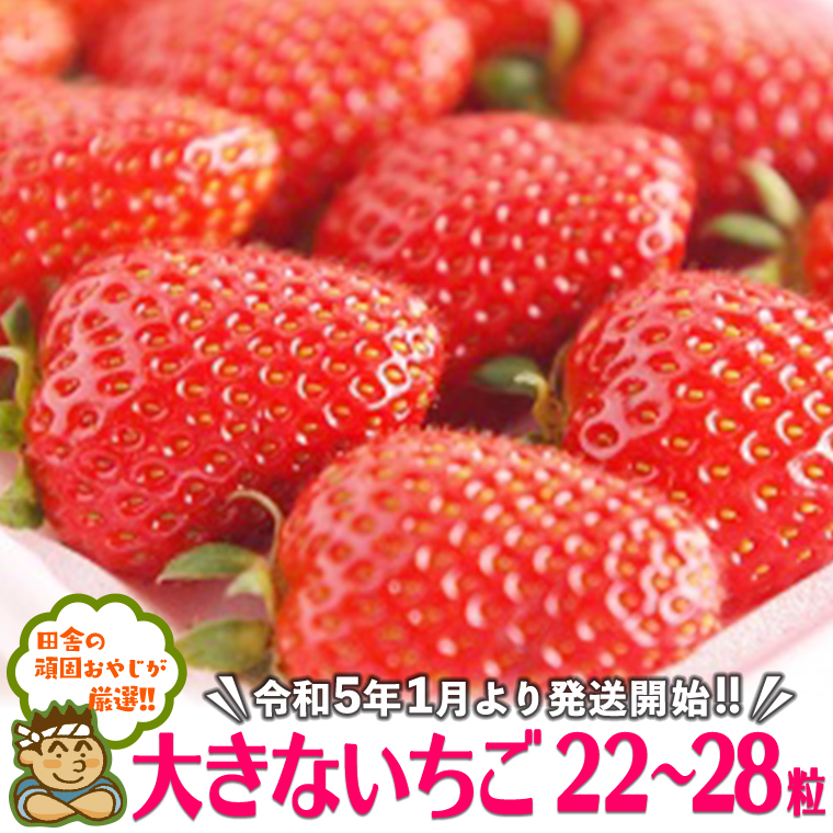 大きなイチゴ22～28粒【令和5年1月より発送開始】田舎の頑固おやじが厳選！ [BI98-NT]