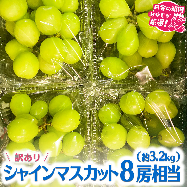 【訳あり】田舎の頑固おやじが厳選！シャインマスカット8房相当（約3.2kg） [BIC2-NT]